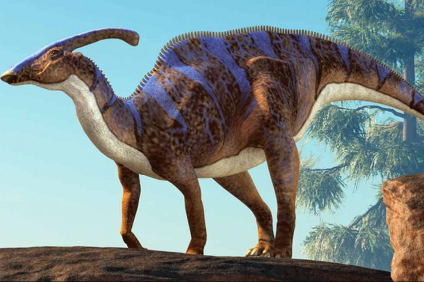 Kanadada mumya dinozor bulundu