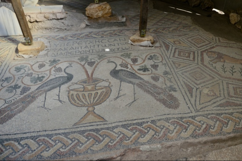 Karabükte tavus kuşlu mozaik bulundu