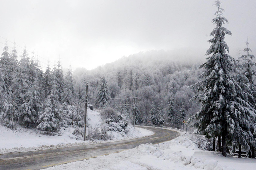 Uludağ Alan Başkanlığı kuruluyor