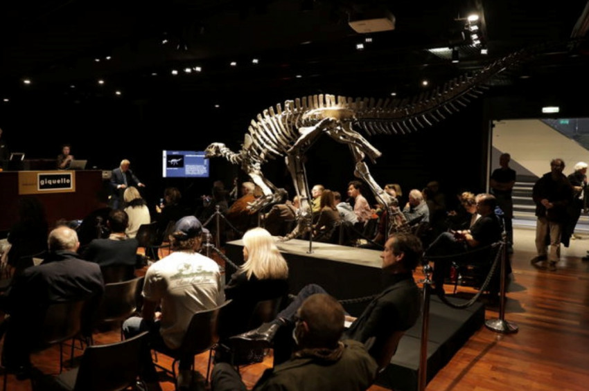 Pariste satılan dinozor fosili 930 bin avroya alıcı buldu