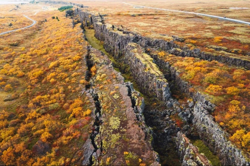 Dünya’daki tektonik plaka sayısı ne kadar?