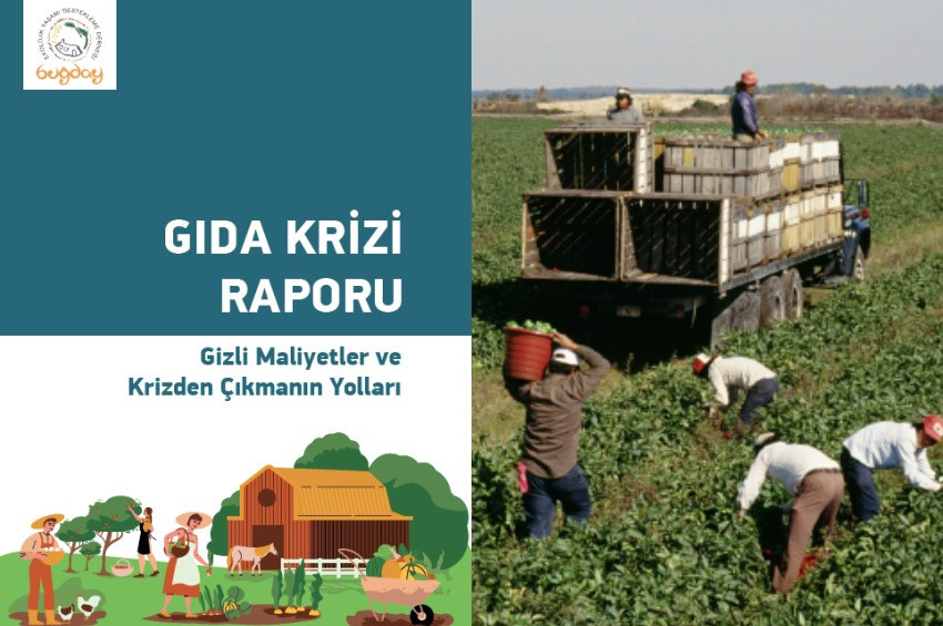 Buğday Derneğiden Gıda Krizini aşmak için öneriler