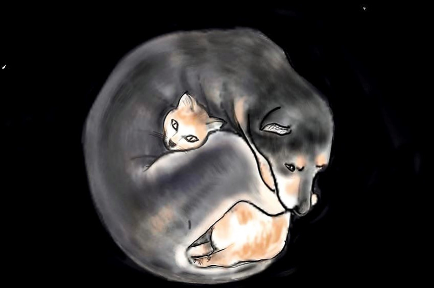 Enkazdan çıkan sıradışı deprem dayanışması