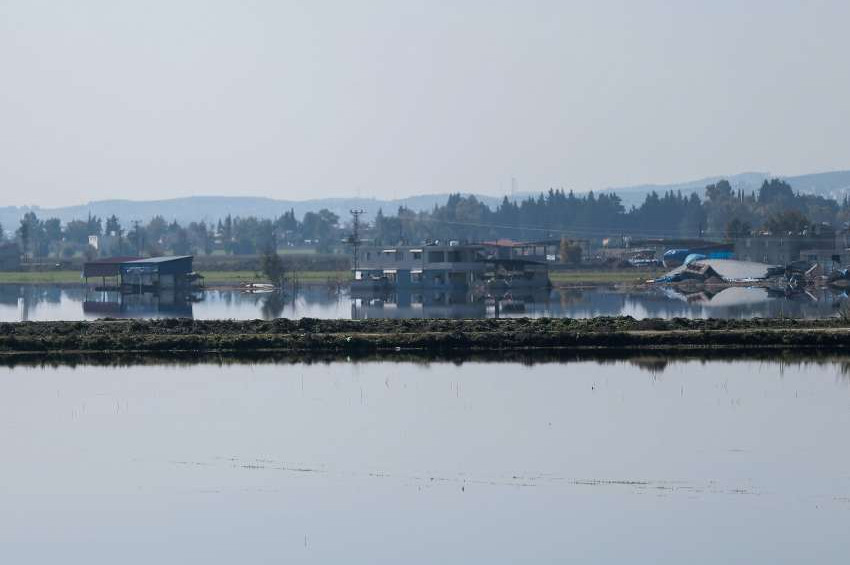 Hataydaki Karasu Çayı taştı,  tarım arazilerini su bastı