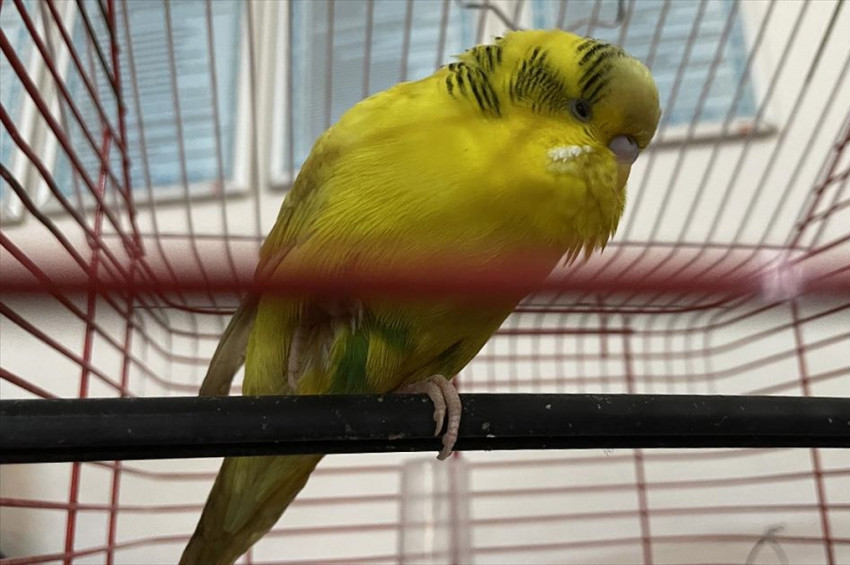 Gazi kendisini depremden kurtaran itfaiyelerin neşe kaynağı oldu