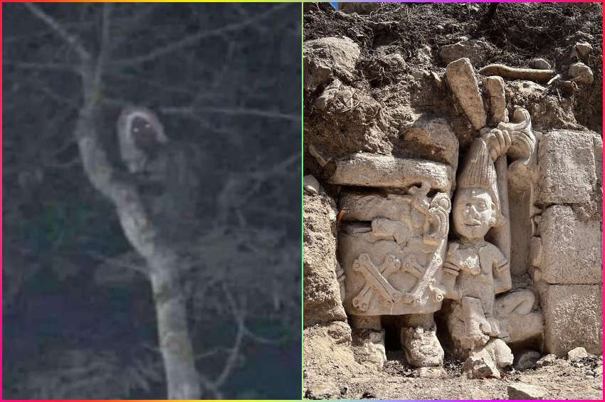 Mitolojik yaratık Aluşun fotoğrafı çekildi iddiası