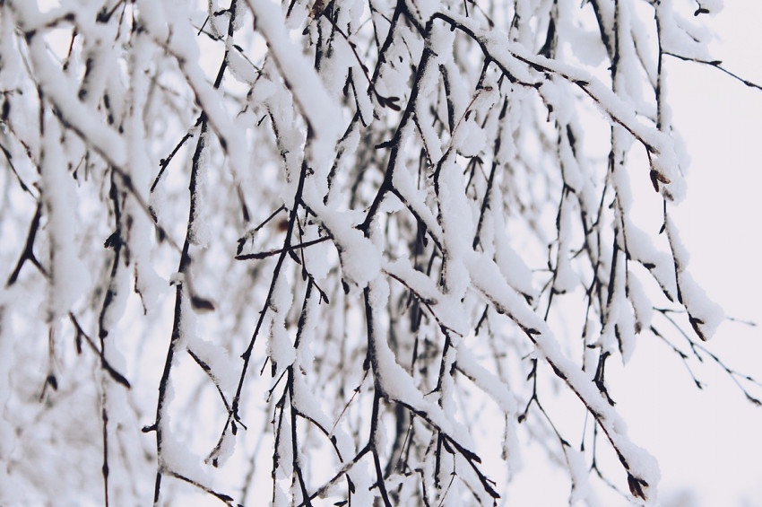 Batı Karadeniz illerinde  şiddetli kar yağışı uyarısı