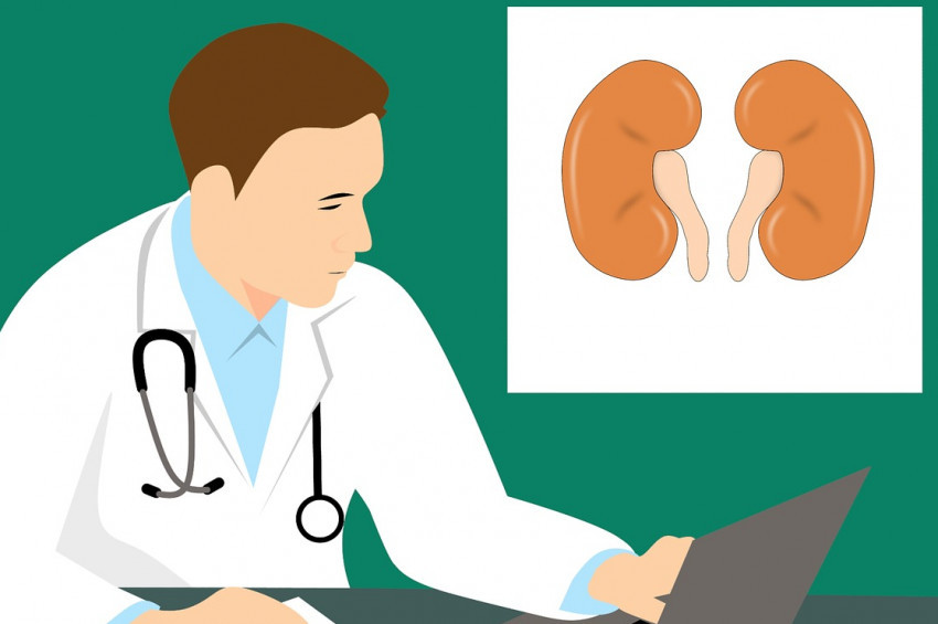 Böbrek hastalıkları kontrol edilebilir rahatsızlıklardandır