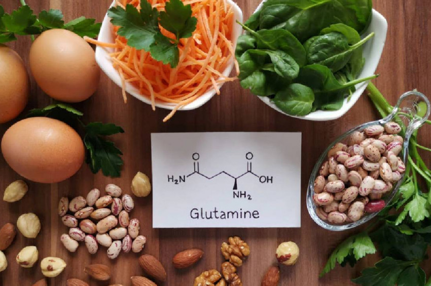 Glutamin nedir? ne işe yarar?