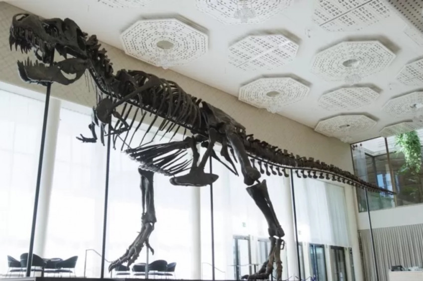 T. rex 293 Trinity haraç mezat satıldı