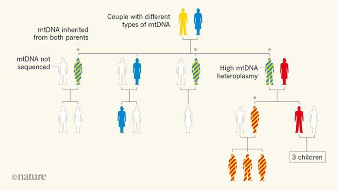 Mitokondriyal DNA sadece annelerden değil, babalardan da miras alınabilir?