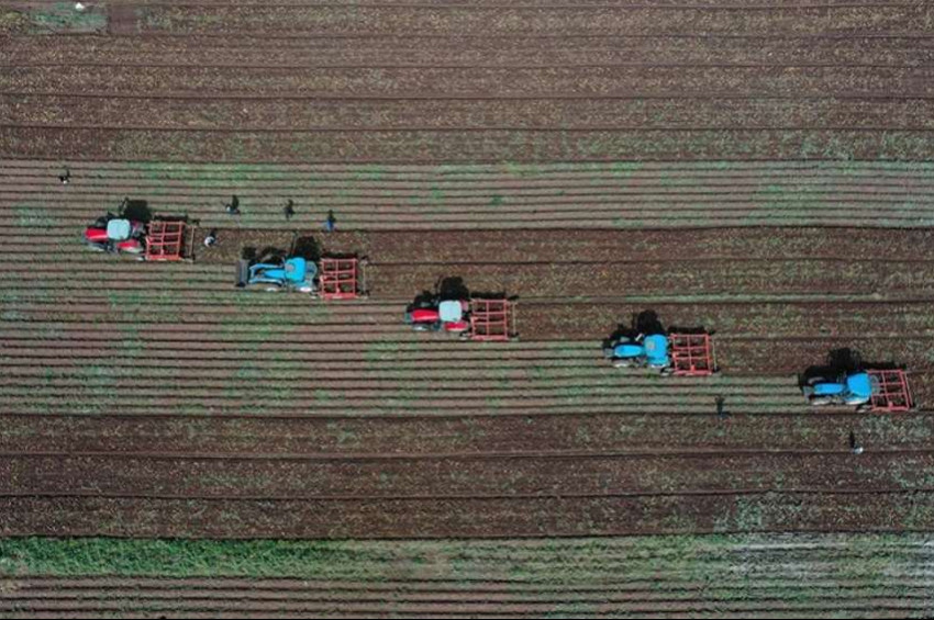 Tarım ve orman alanları ile ilgili kanun yenilendi!