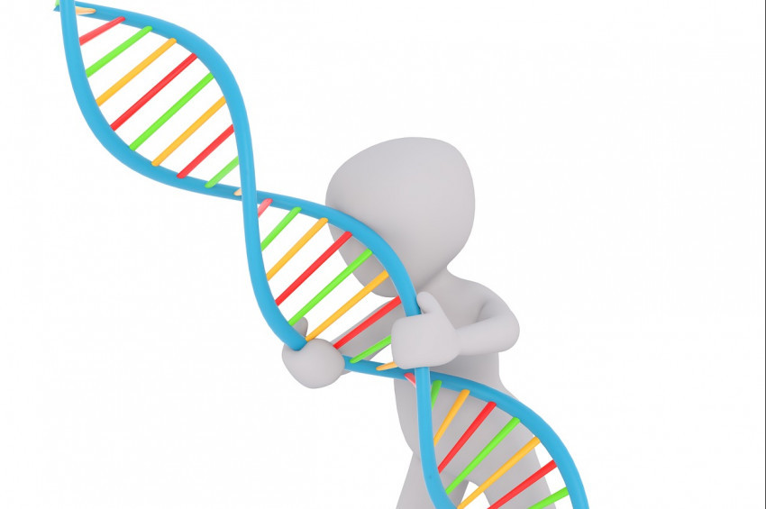 Güncellenmiş DNA haritası yayımladı