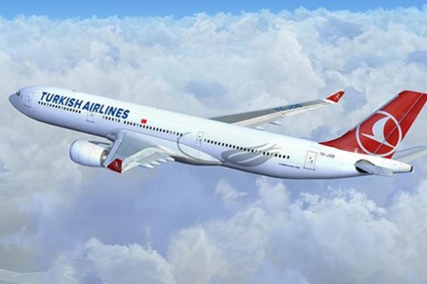 Türk Hava Yolları uçağı kuşa çarptı