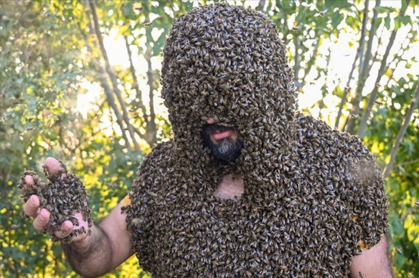 Vanlı Abdulvahap Semo arı adam olarak Guinness rekoru kırmak istiyor