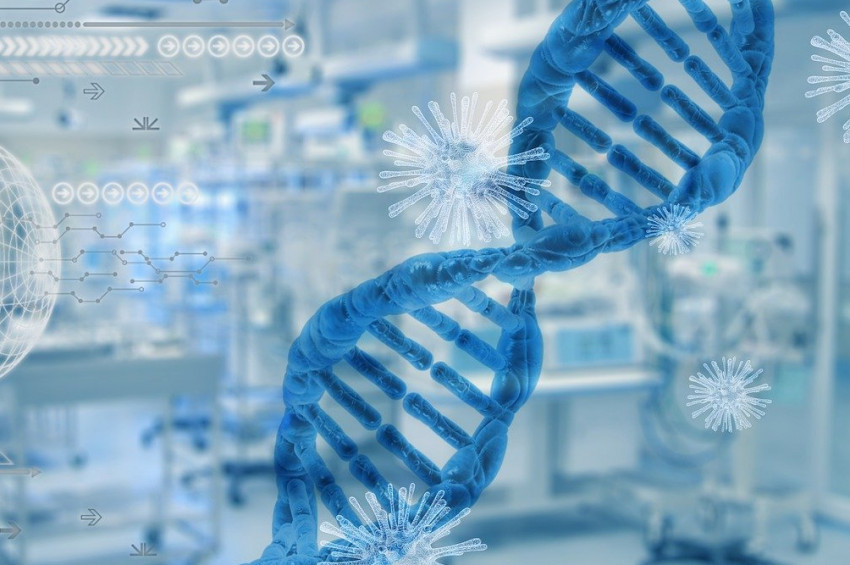 İnsanları hayalete çeviren Marburg virüsü yayılıyor