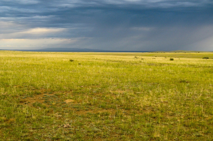 Türkiyede tarla satışlarında rekor kırıldı