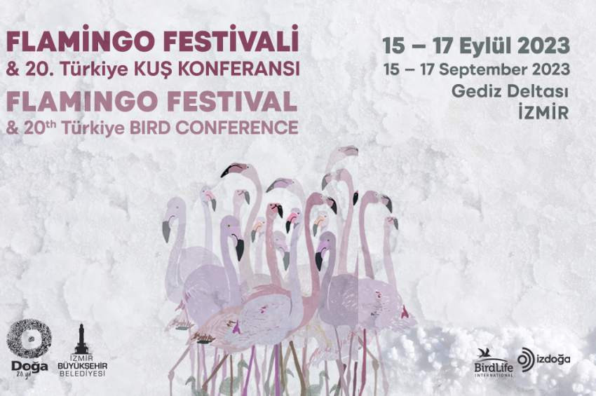 İzmir Flamingo Festivali 15 Eylülde yapılacak