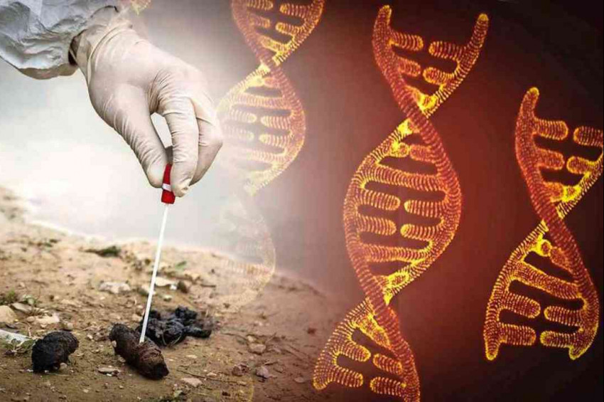 Köpek kakasına ceza kesmek isteyen belediye DNA veri tabanı kuruyor!