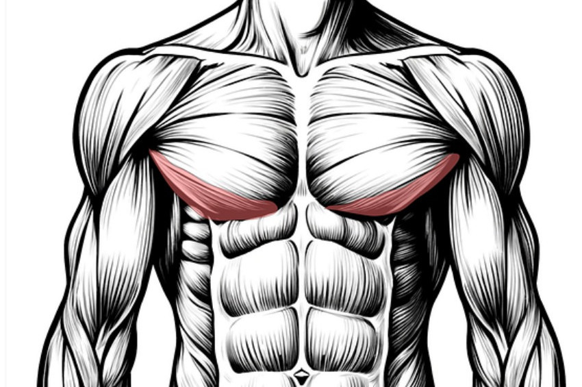 Meme Kanseri artık erkekler için de büyük tehlike