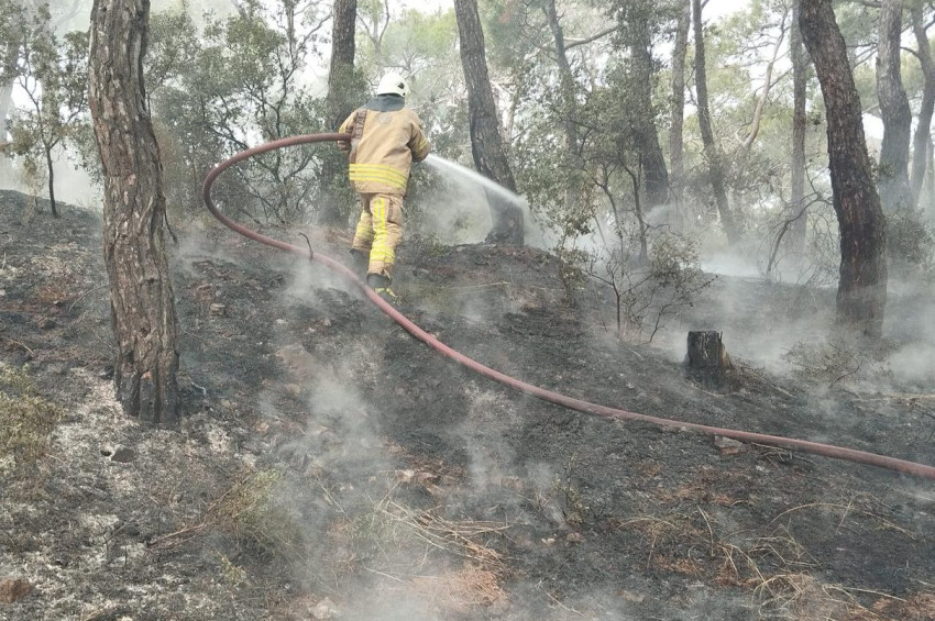 Heybeliadada orman yangını