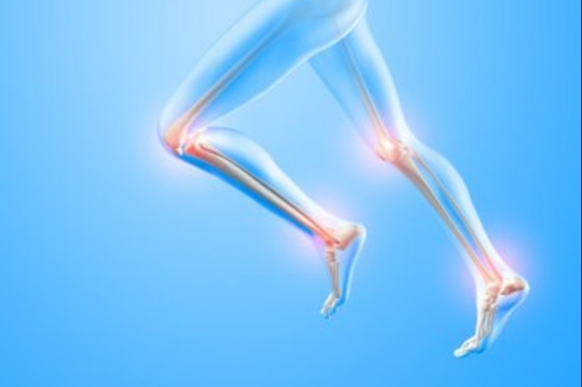 Baldır kasları, ikinci kalp gibi çalışıyor