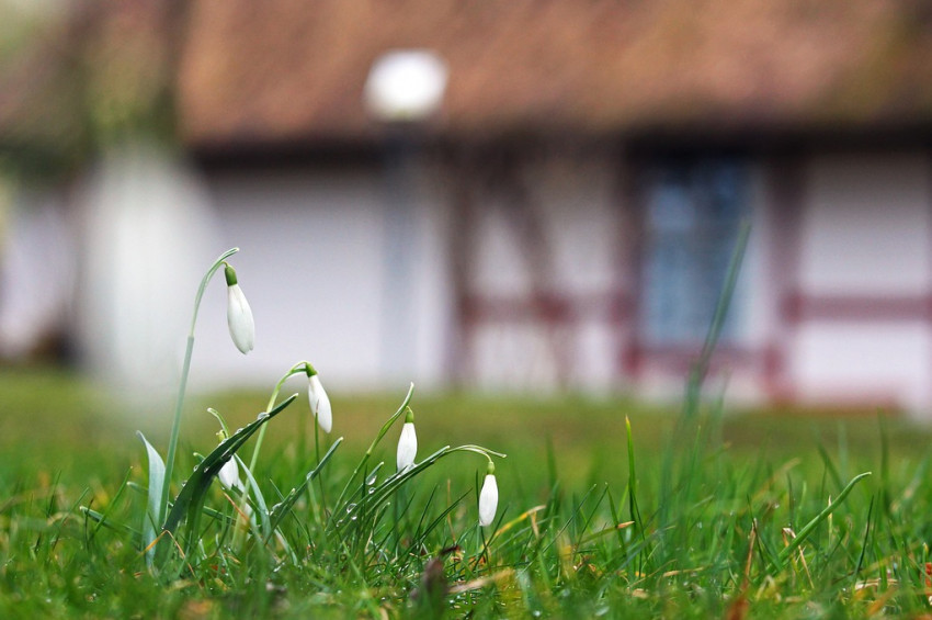Yılın ilk cemresi bugün havaya düştü