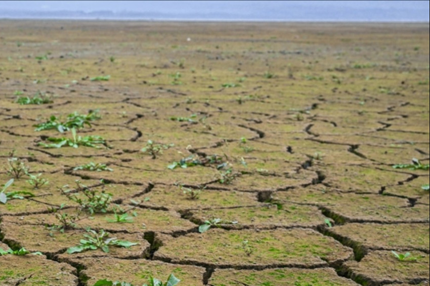 Kuraklıktan kıvranan Zambiya acil acil durum ilan etti