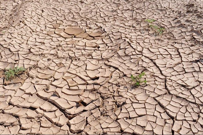 Küresel ısınma Türkiyeyi Mısırlaştırıyor!