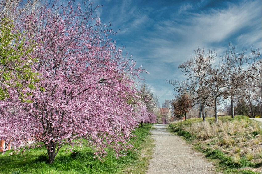 En sıcak kıştan en sıcak bahara geçiyoruz!