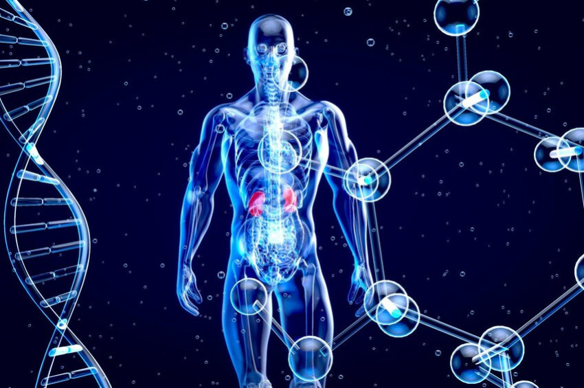 Bir insan vücudunda kaç atom var?