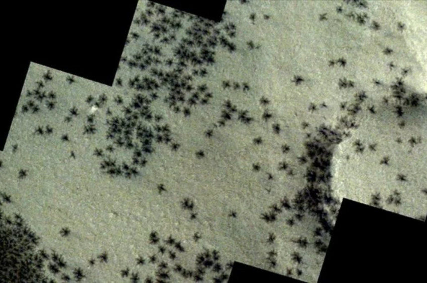 Marsta görüntüleri örümceği andıran tuhaf fiziksel oluşumlar gözlendi