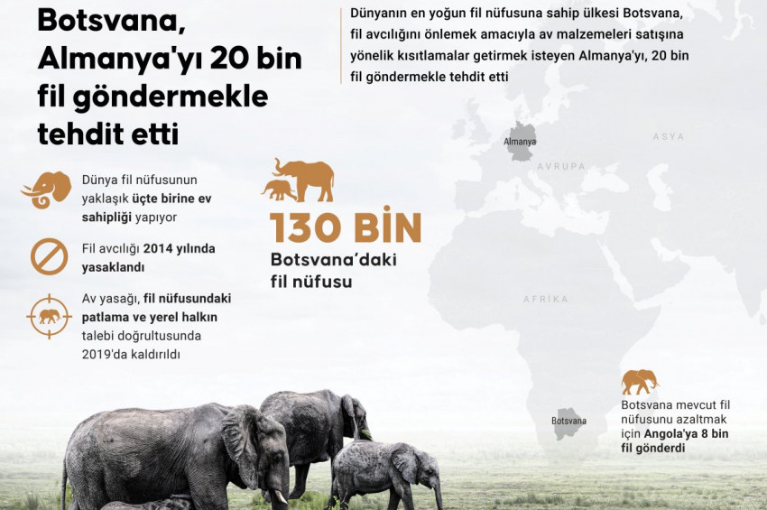 Botsvana, Almanyayı tehdit etti:  20 bin fil göndeririz!