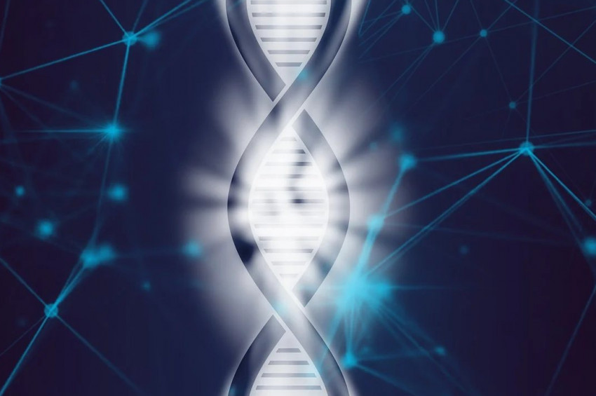 Genetikçiler obetizye yol açan 2 yeni genetik yapı tespit etti