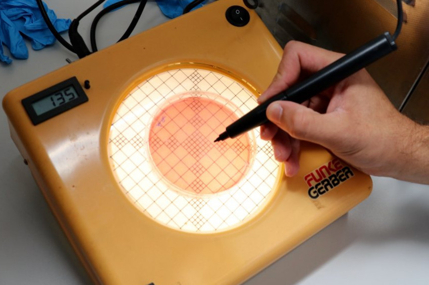 Balıkların beyninde bile mikroplastik parçaları bulundu