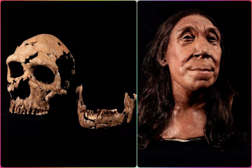 Bundan 75 bin yıl önce Irakta yaşayan Neandertal  kadının yüzü şekillendirildi