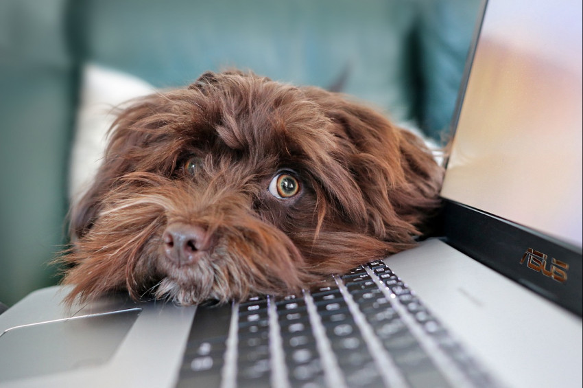 2024 Mayıs ayının en ilginç bilimsel olayları