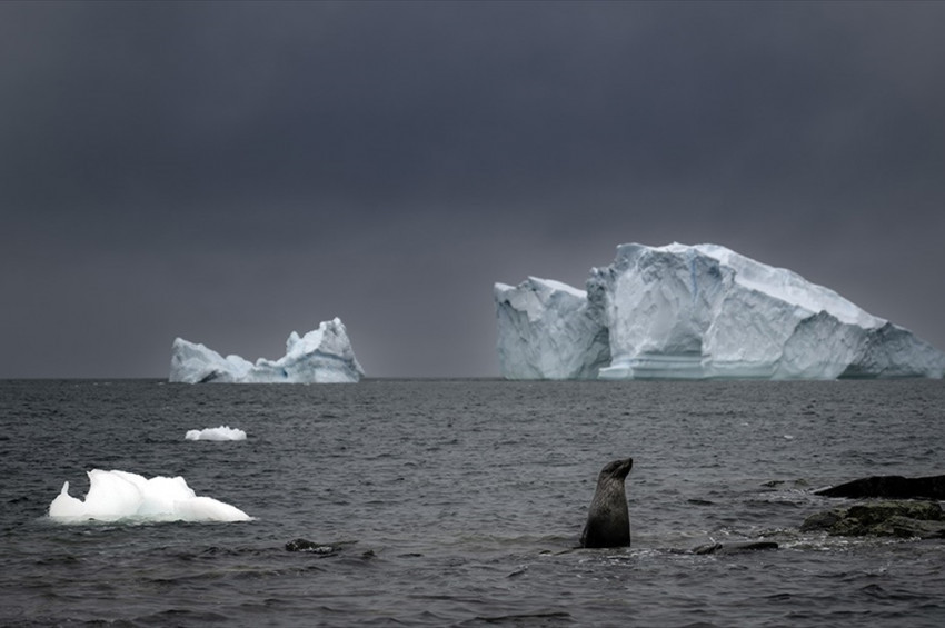Kıyamet buzulu her geçen gün daha hızlı eriyor