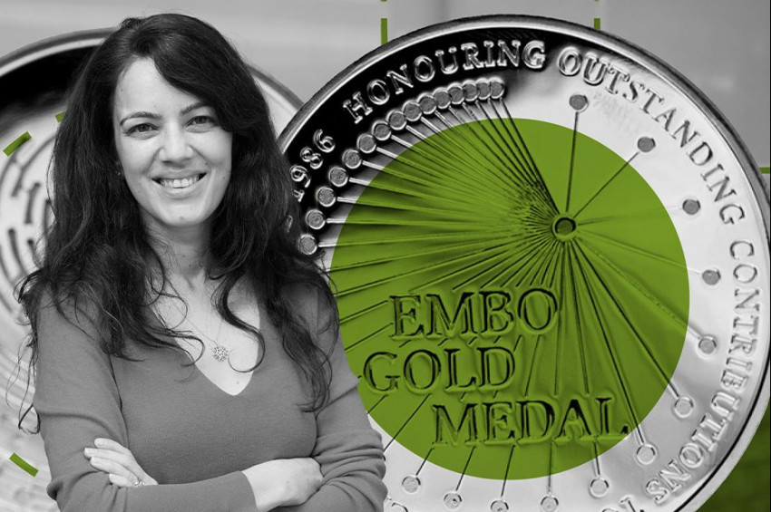 Avrupa Moleküler Biyoloji Örgütü ödülü Doç. Dr. Elvan Bökeye verildi