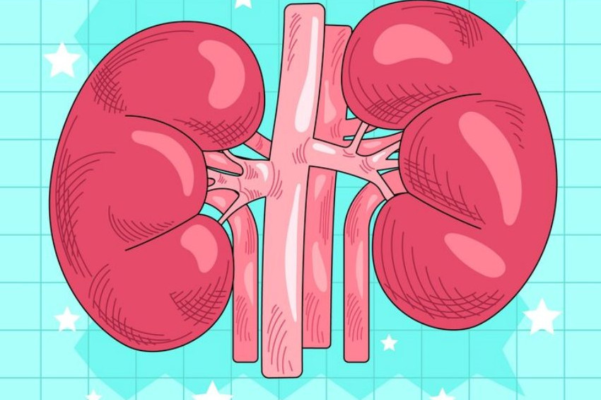 Sıcak diye eve kapanırsanız böbreklerinize zarar verebilirsiniz