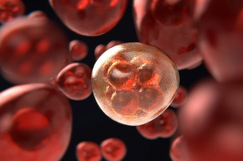 Kanser, X ve Y Kuşağını daha fazla tehdit ediyor