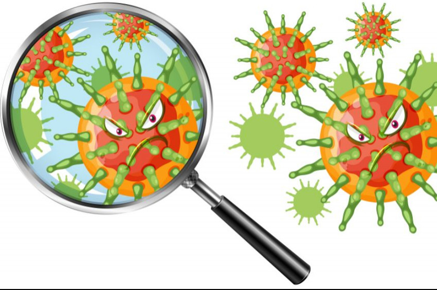Maymun Çiçeği Virüsüne dair merak edilen konular