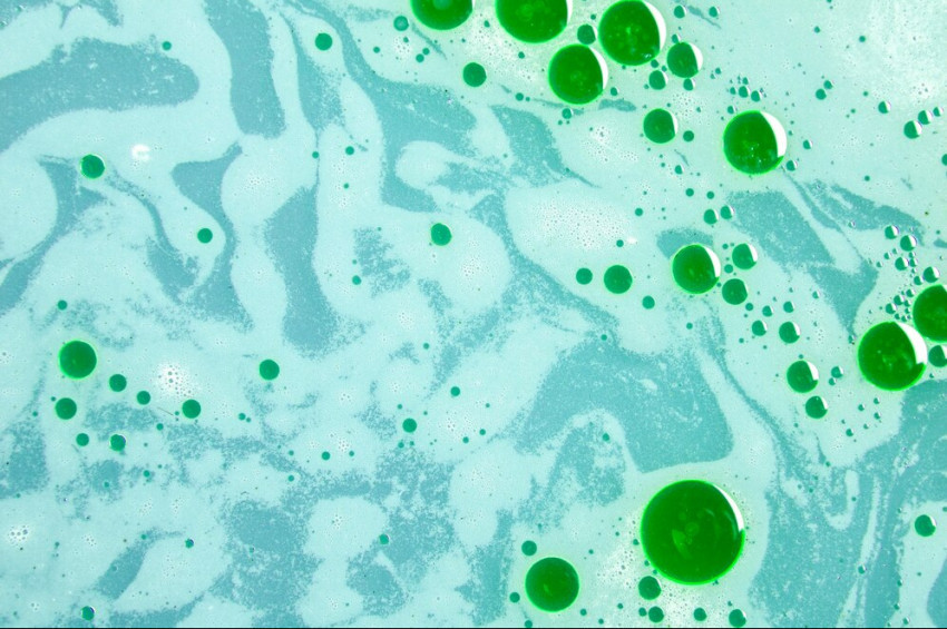 Selen Şenal ve Ceyda Güneşin Algbio Projesi James Dyson Ödülüne layık bulundu