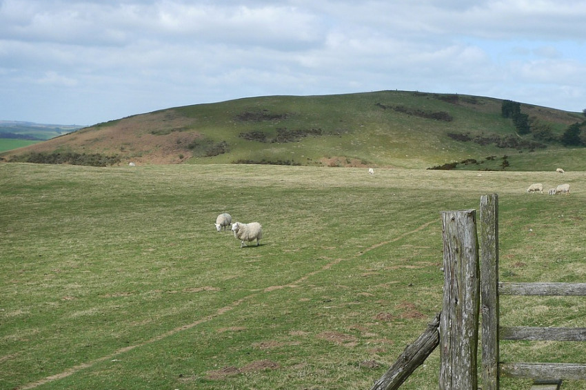 İklim değiştikçe Türkiyenin susuzluk tehlikesi artıyor