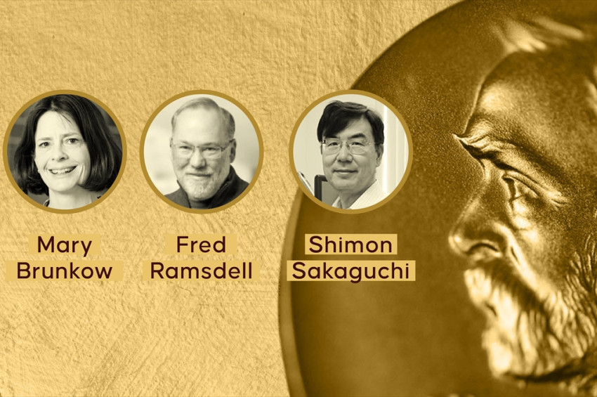  2025 Nobel Tıp Ödülü: Bağışıklık Sistemi Kendini Nasıl Tanır?