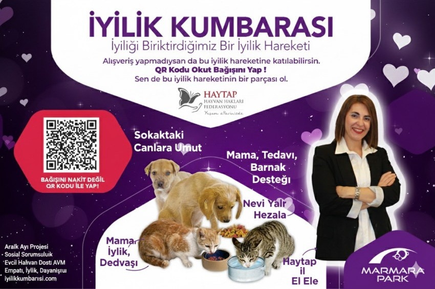 İyilik Kumbarası ile Yeni Yılda anlamlı bir hediye de sokaktaki canlara verin 