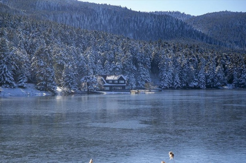 Boludaki doğal ve milli parklar için koruma tedbirleri alındı