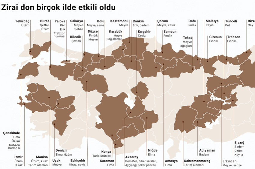 36 İlde Zirai don felaketi yaşandı
