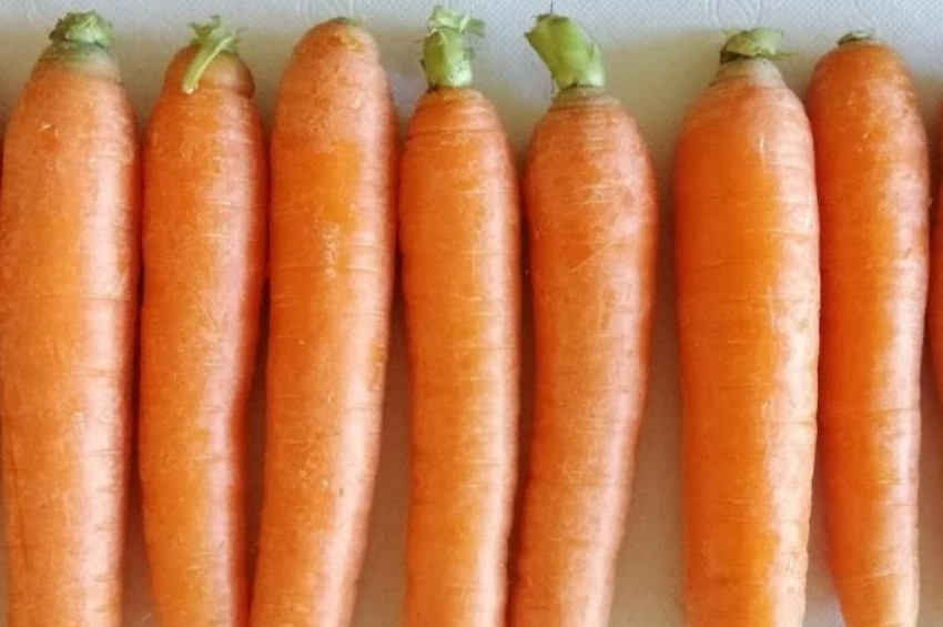 Kırıkhan Havucu artık Coğrafi İşaret tescilli