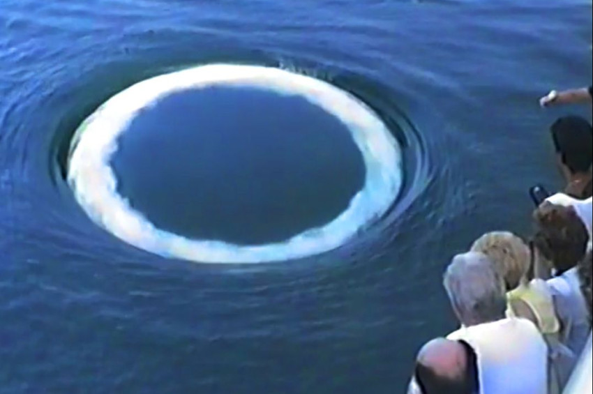 Kambur Balinalar İnsanlarla Konuşmaya mı Çalışıyor?